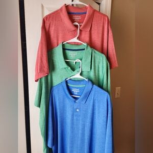 3 Saddlebred Polos